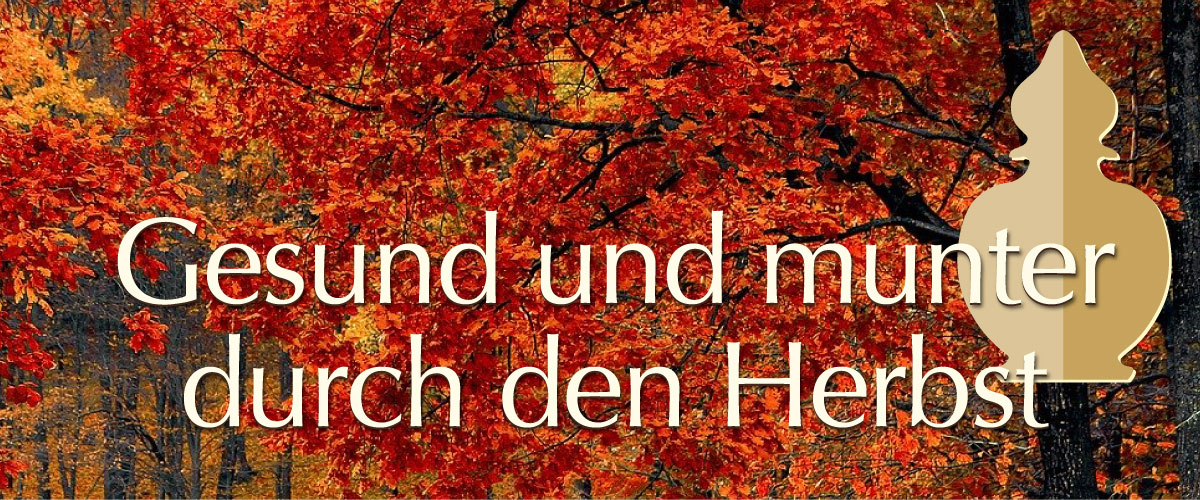 Gesund und munter durch den Herbst